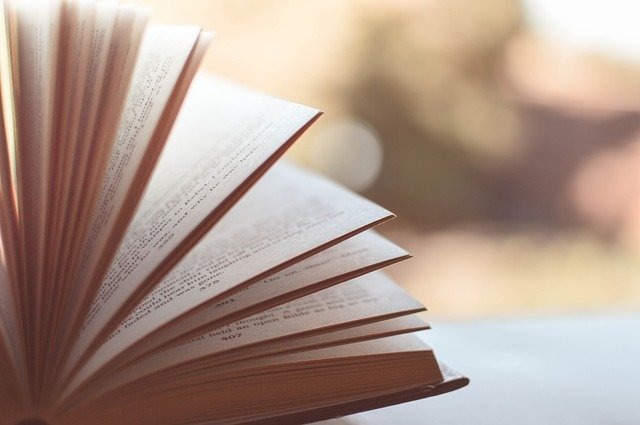 Libro Giovanni Nocentini